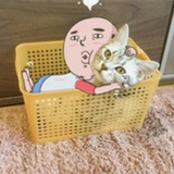 挪威的浆糊