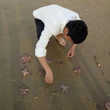 阿征
