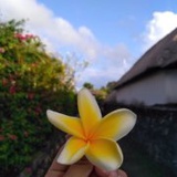 爱睡觉的大美美