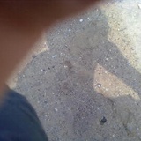 莫妮卡是条猫🐱