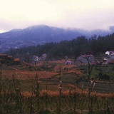 涤生