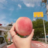如也