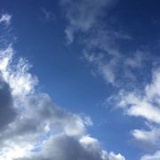 Kevin张泽中