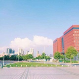 豆🈶