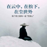 任卷舒