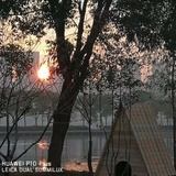 小猪乔治