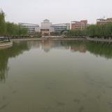 流浪