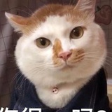 imalimao