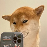 晕晕云