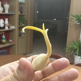 万众倾倒