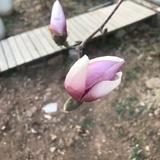 平安喜乐