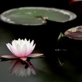 一块石头