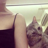 💋纽扣