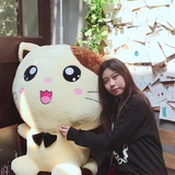 A山兔🐰