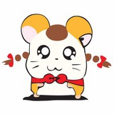 猪猪侠