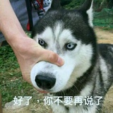 销注已