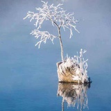 依稀流年