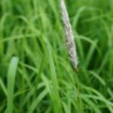 逆风飞扬