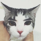 唐堂汤糖