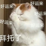 多赚人民币