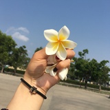 小英