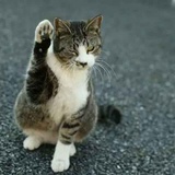 东施丑不丑