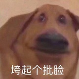 肉丸