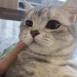 啤酒鴨的做法