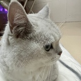 KaN