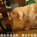 长安，长安，