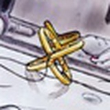 Betulaceae.