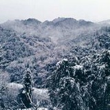 石卡那个浪