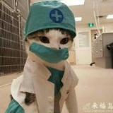 爱吃洋芋