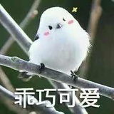 猫猫感冒灵
