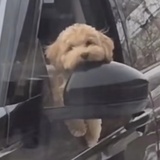 拖延症中期患者