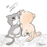 猪圆玉润