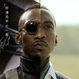 小海豚