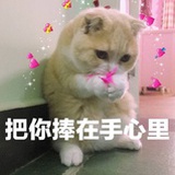 就是来看看
