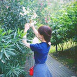呆毛兔