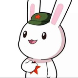 种花家的兔子