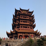 zhihuanwang