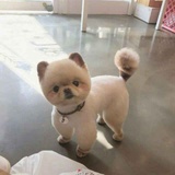风云变换
