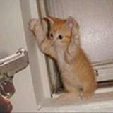  