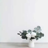 林间