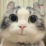 A小骏     