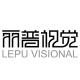 丽普视觉