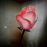 funny