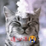 无风无情也无月