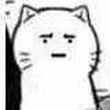 陈废猫啊