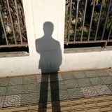 vinsin